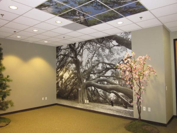 Wall Murals San Diego