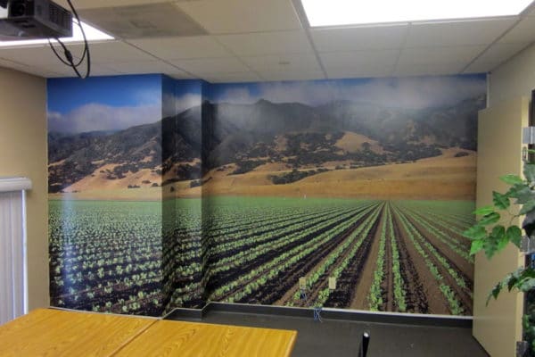 Wall Murals San Diego