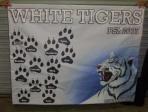 AYSO Soccer Banner
