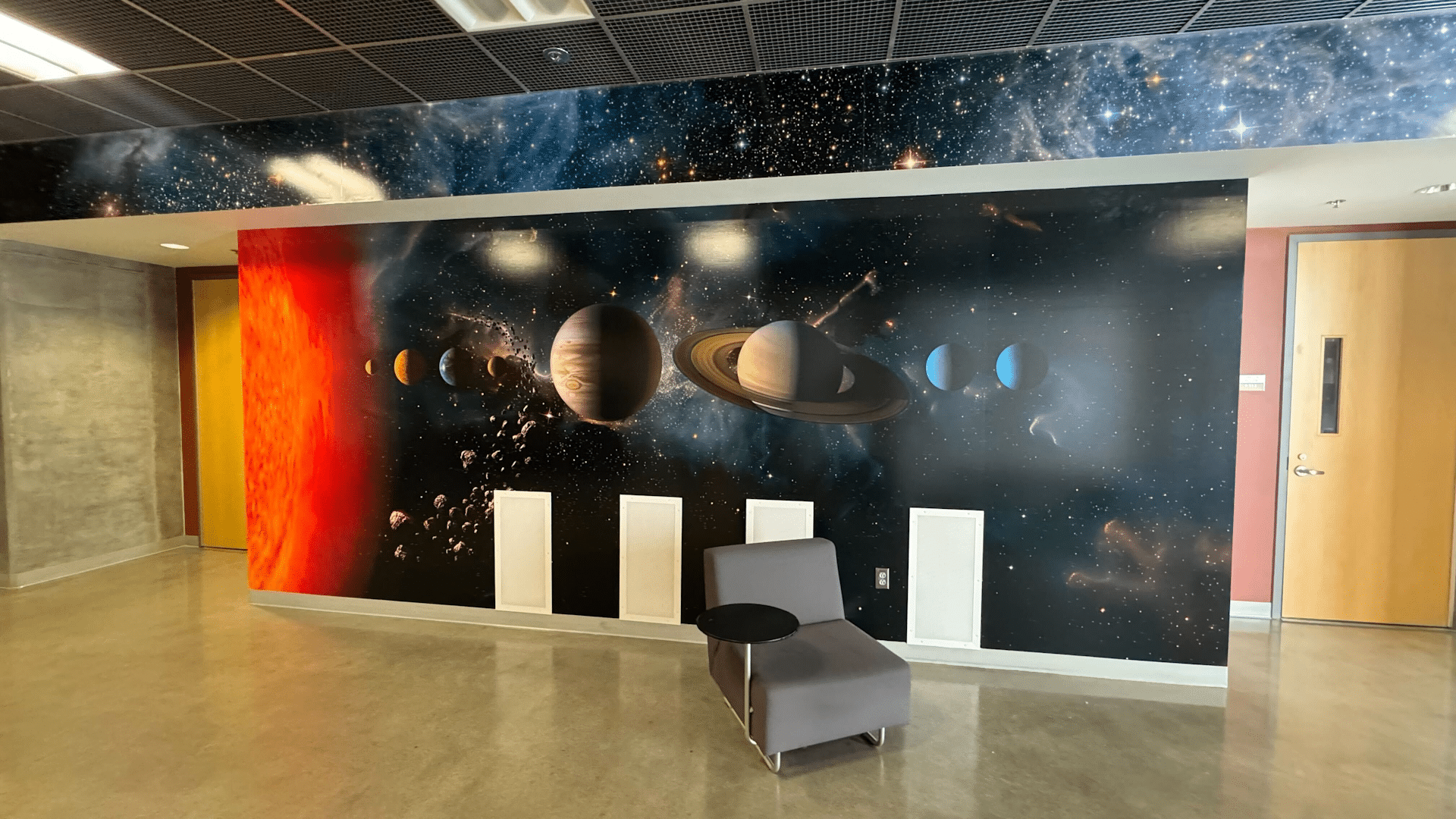 Interior Graphic Installations
